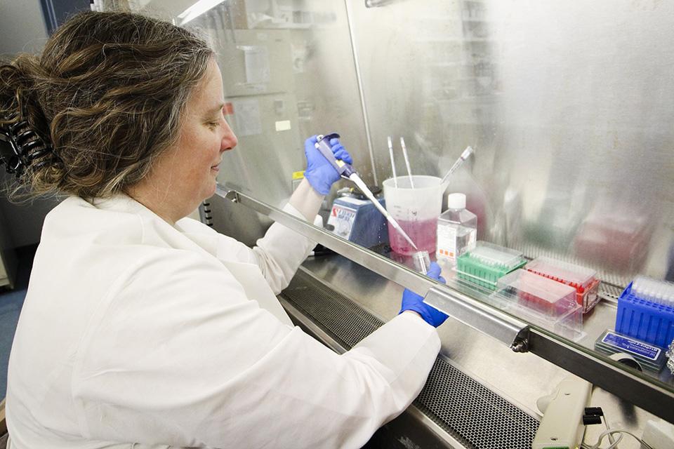 A researcher wearing a lab coat and gloves works with test tubes and vials.